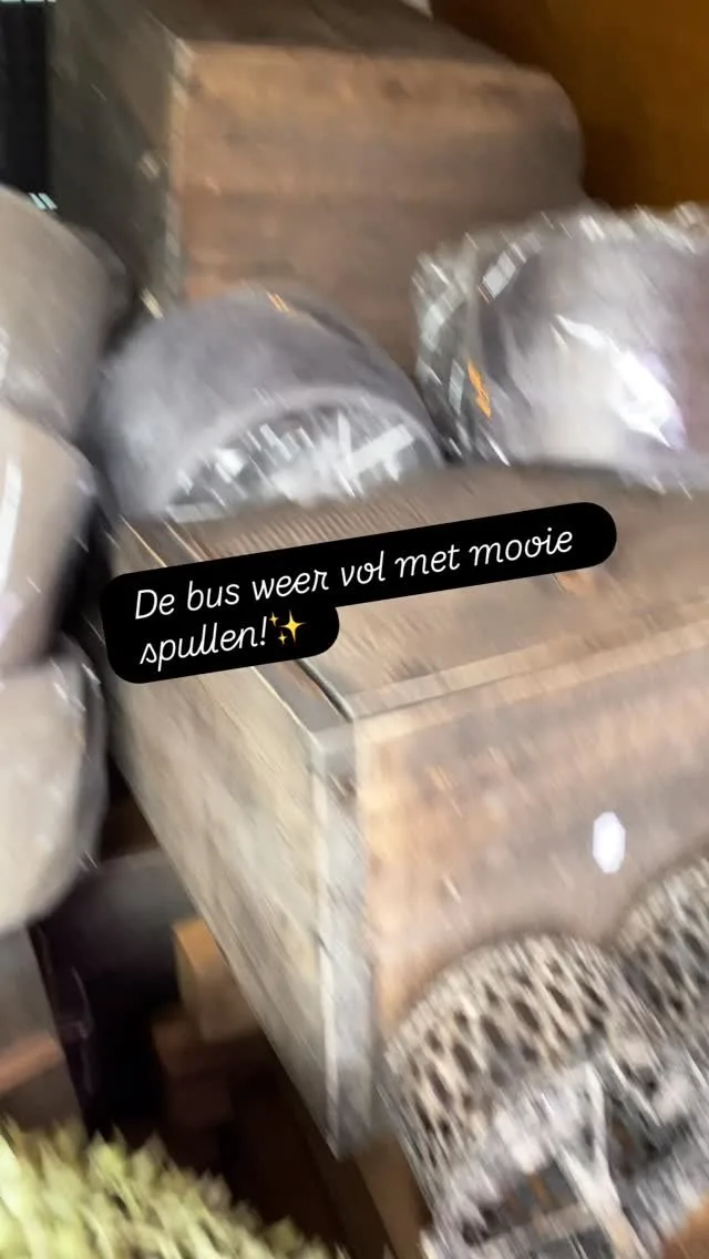 571636924 1509343790306820 4606197498369150330 n