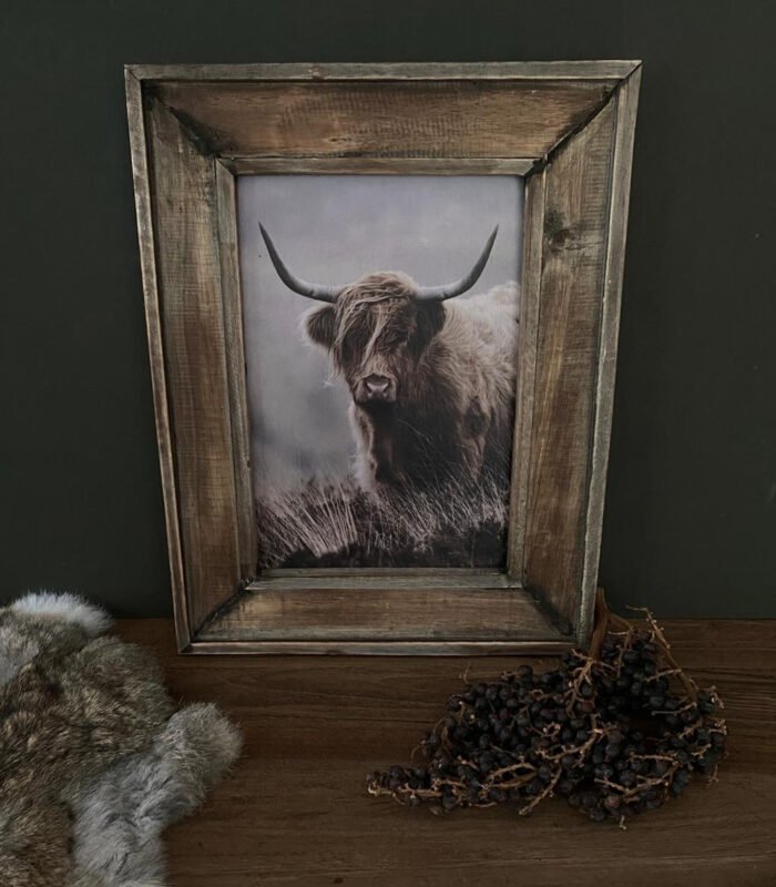 houten wanddecoratie - bull - zozowonen.nl