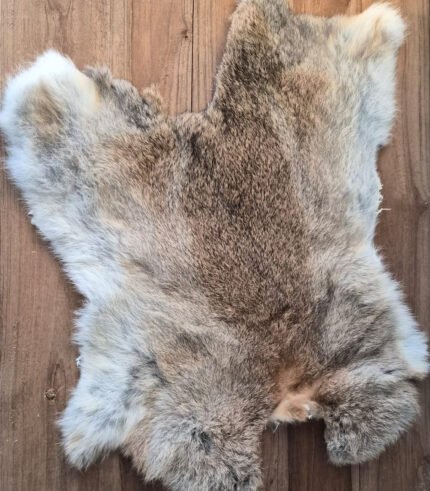 konijnenvacht - zozowonen.nl