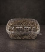 Tillandsia Decoratie - Afbeelding 2